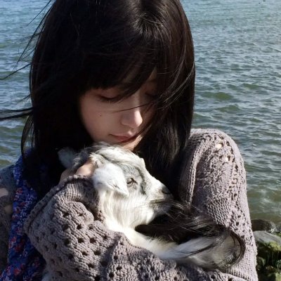 猎鹰队 海报