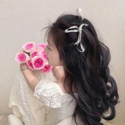 罗贝尔塔 海报