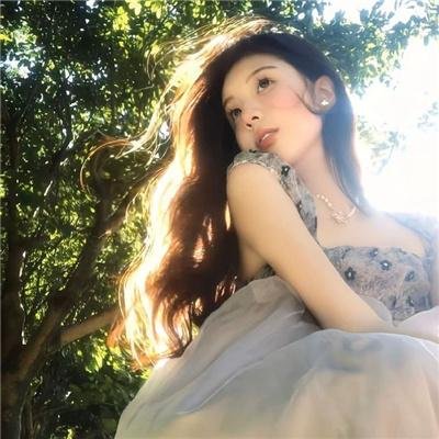 森林 海报